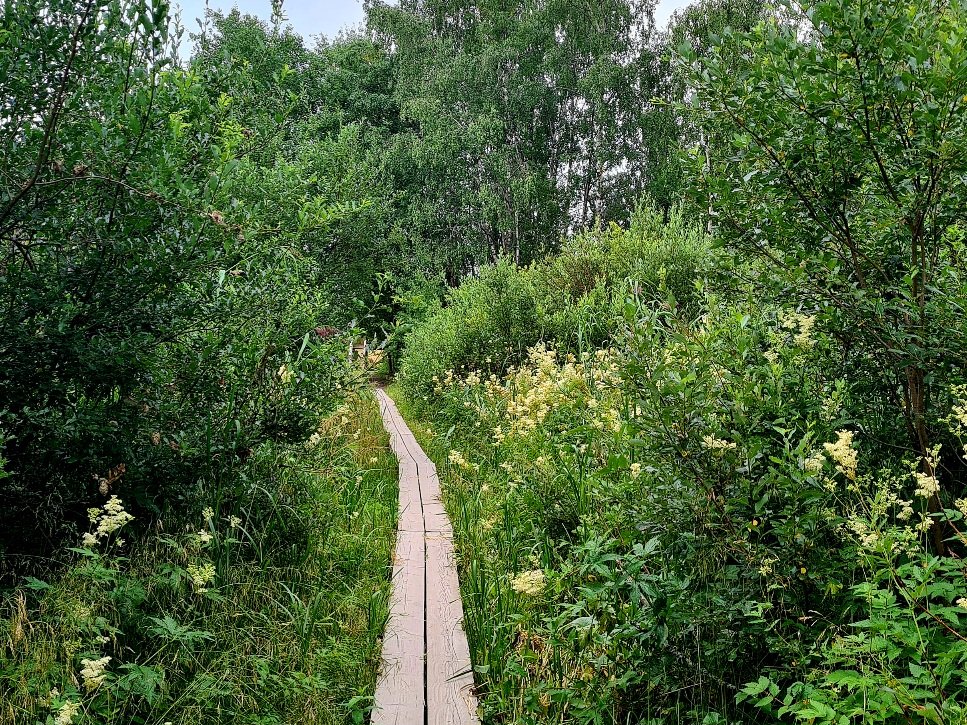 pitkospuut laajalahdella espoossa