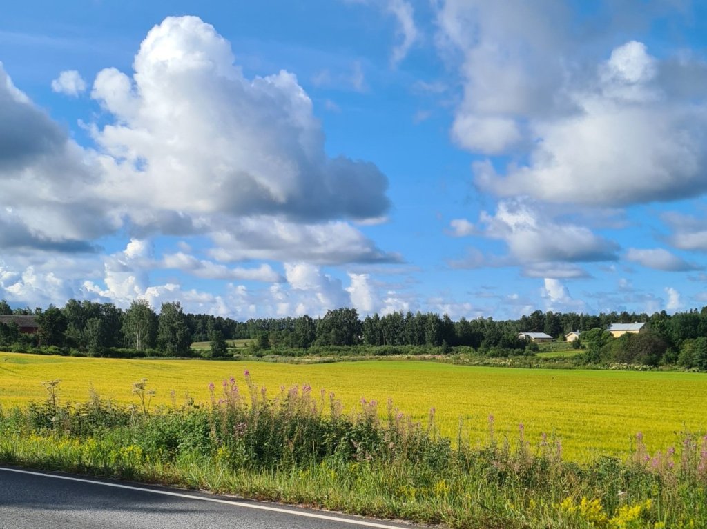 kesapaivan pilvia leijailee sinisella taivaalla