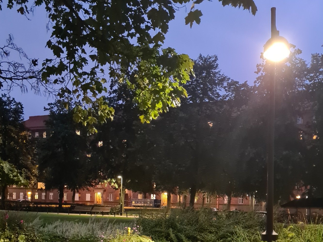 lamppu hohtaa puistossa