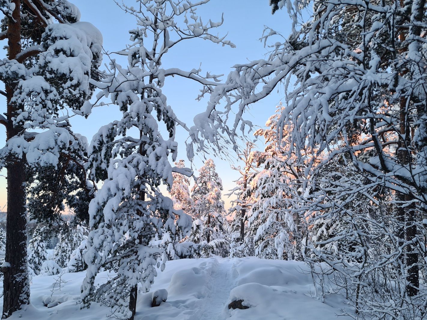 puita lumen peitossa