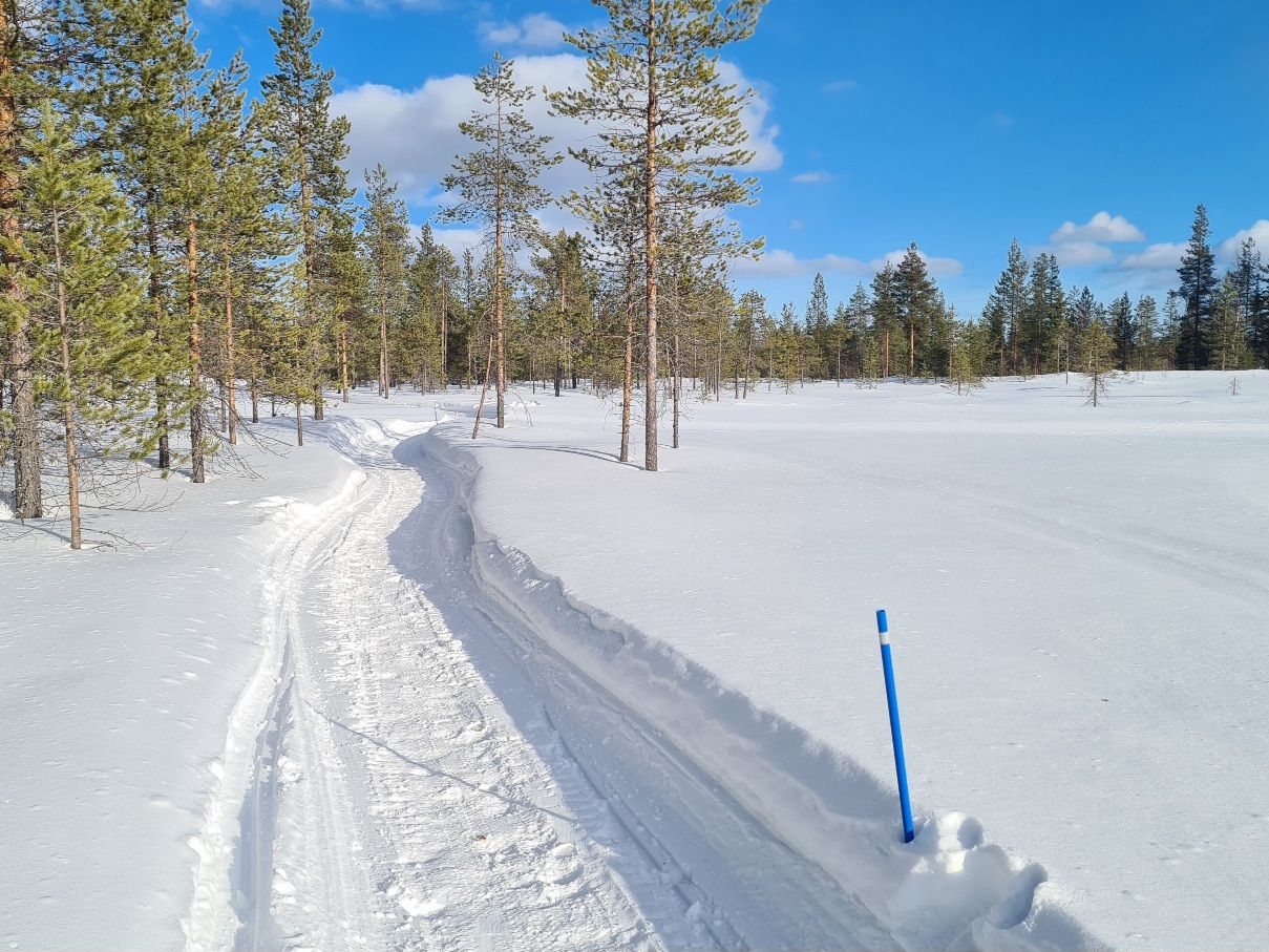 talvipolku yllaksella