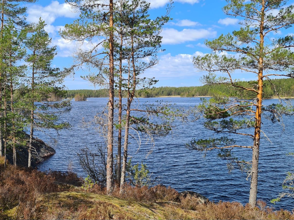 matildanjarvi salossa teijon kansallispuistossa