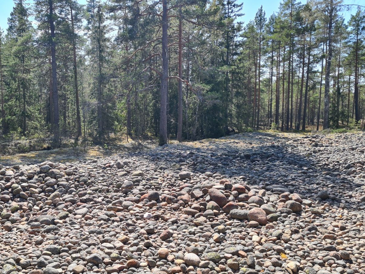 jeturkaskin muinaisranta teijon kansallispuitossa