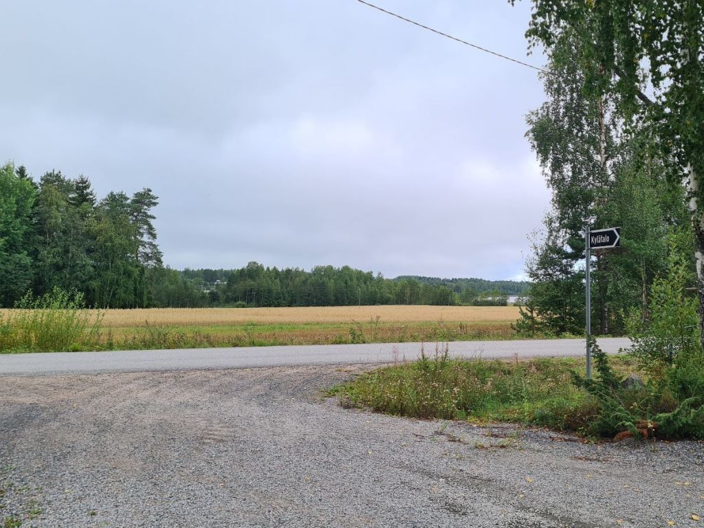 miljoonan sentin holkka siikaisissa