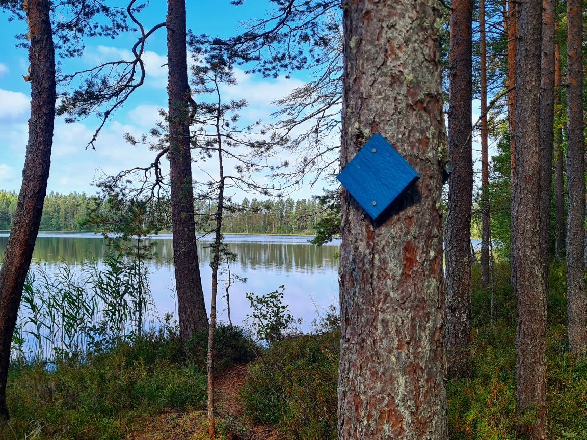 merkki puussa luontopolulla