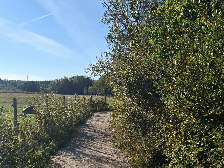 nature trail in laajalahti nature reserve