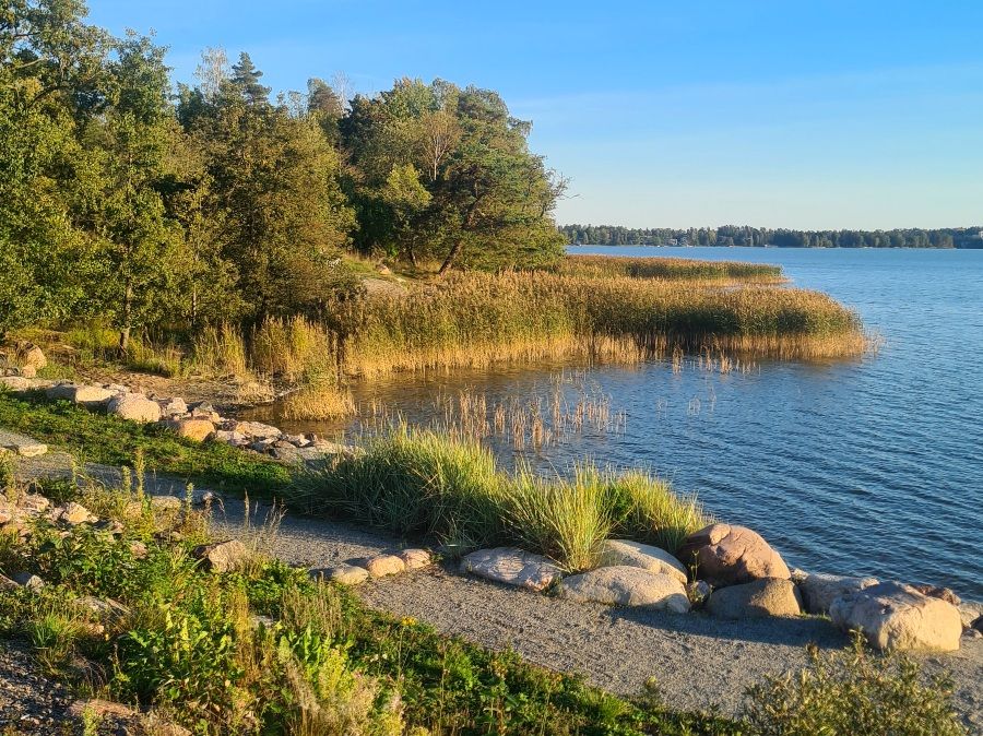 tarvo island in helsinki