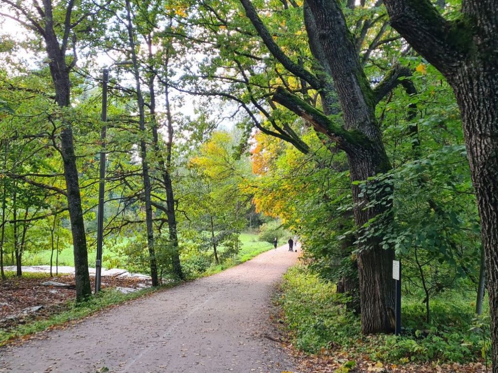 autumn colors in helsinki central park