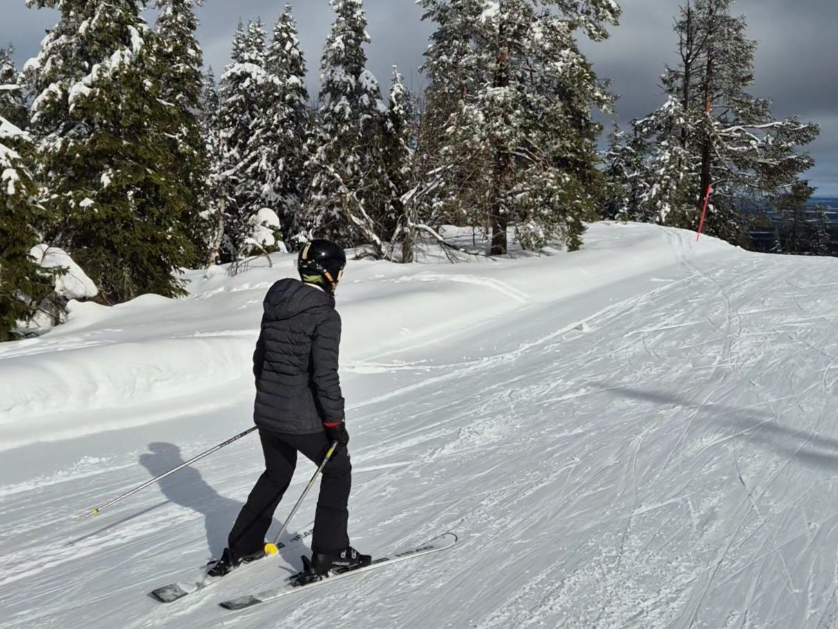 nainen hiihtaa laskettelusuksilla tunturissa