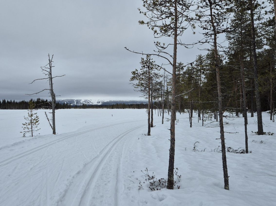 latua ahvenkankaalla yllaksella