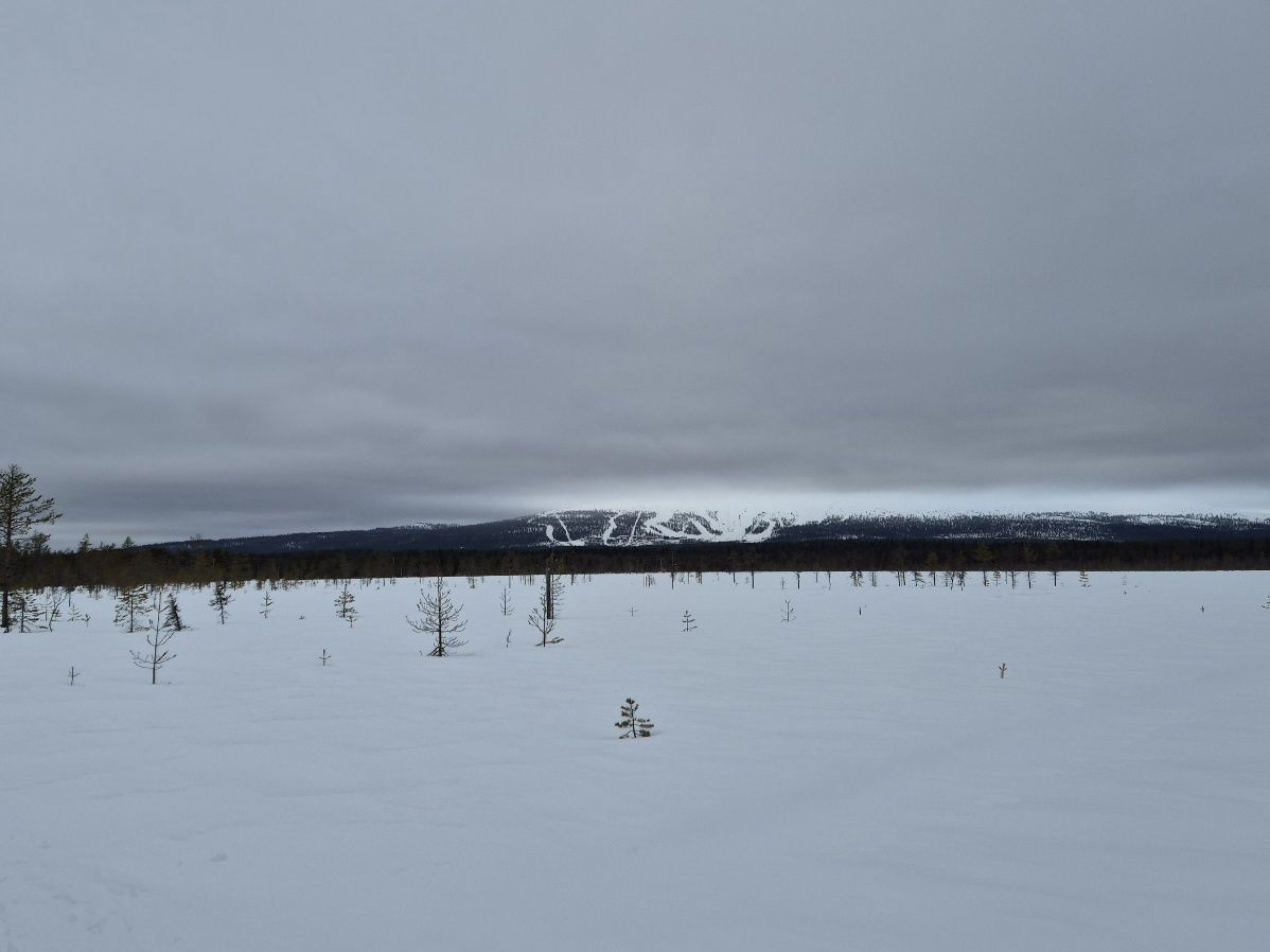 tunturit pilvisella saalla