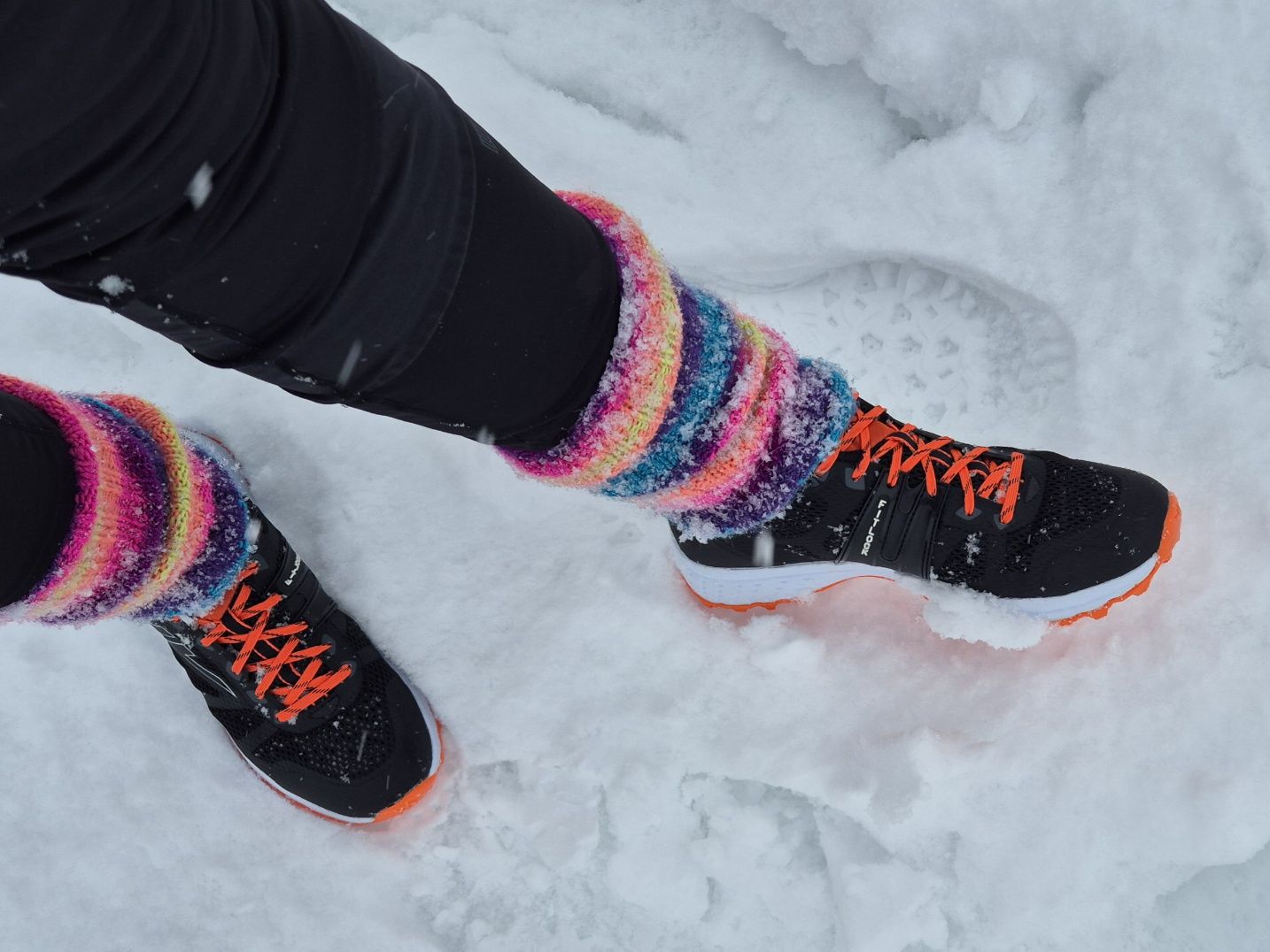 sarvan nastalenkkarit