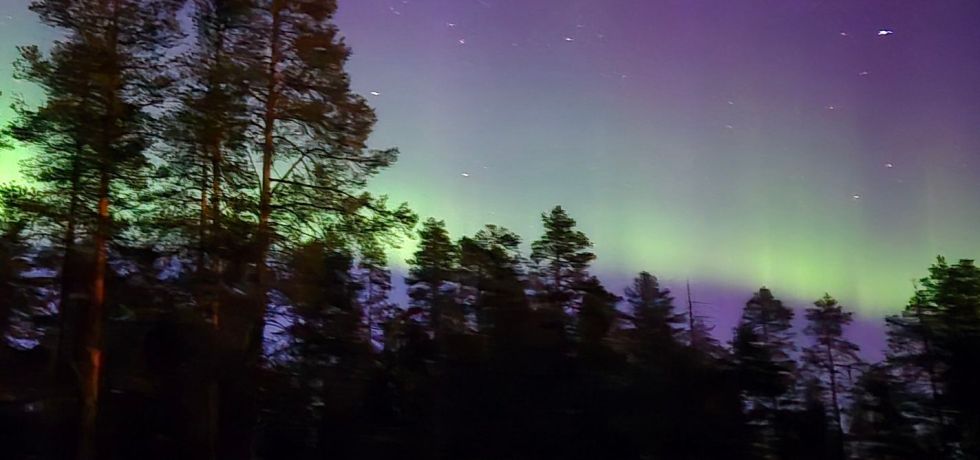vihreana hehkuvat revontulet yllaksen taivaalla