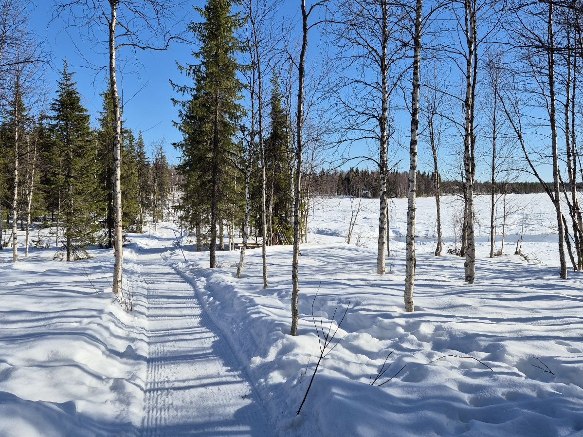 talvipolku yllasjarven rannassa