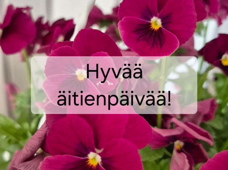aitienpaivatoivotus